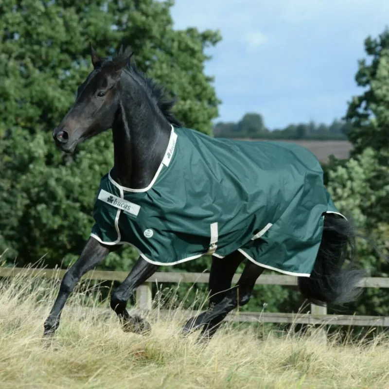 Rduction Couverture Bucas Greenline Turnout 100g 600D - 125 cm - Vert / crme