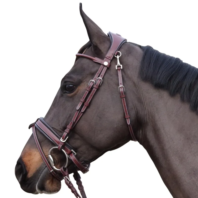 Bridon Flags & Cup Madrid - Cob - Noir Super Prix