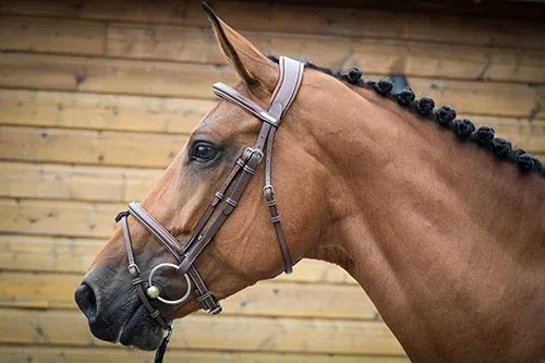 Vente Flash Bridon London Jump&rsquo;In One – Cob – Noisette
