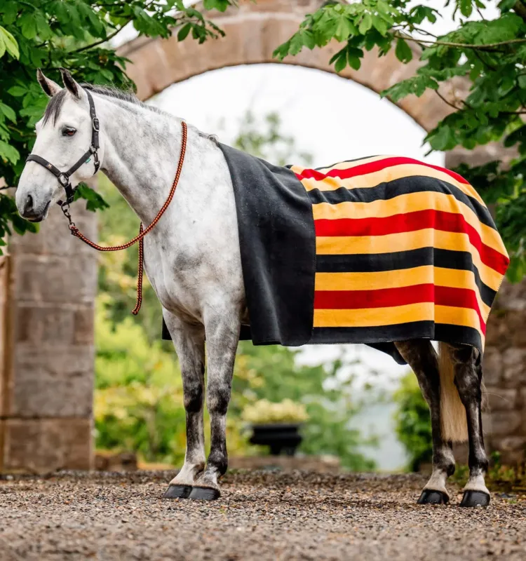Quantit Limite Carr polaire Horseware Newmarket - Poney - Or Blanc