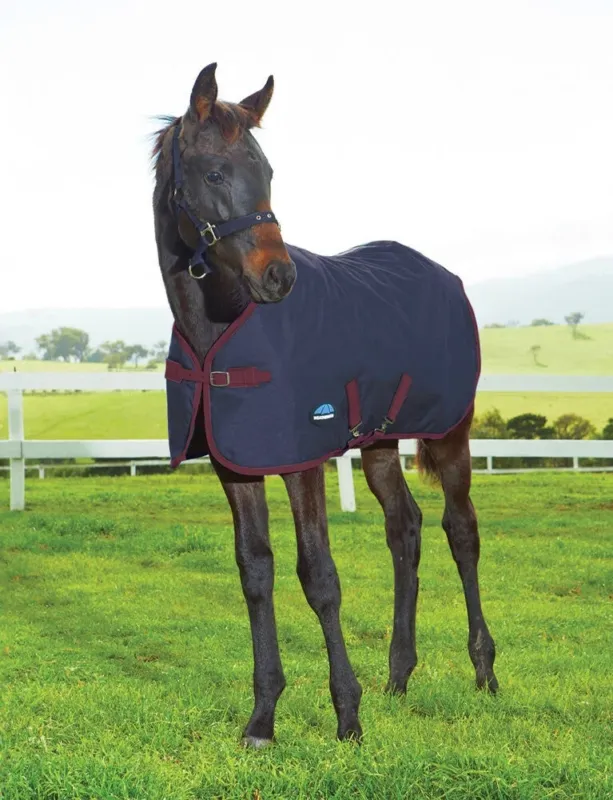 Promotion Couverture poulain Weatherbeeta 1200D 220g - 60 cm - Marine / bourgogne