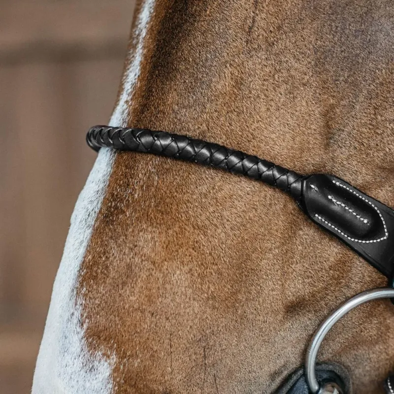Muserolle tress Dy'on - Cheval - Noir Offre Limite