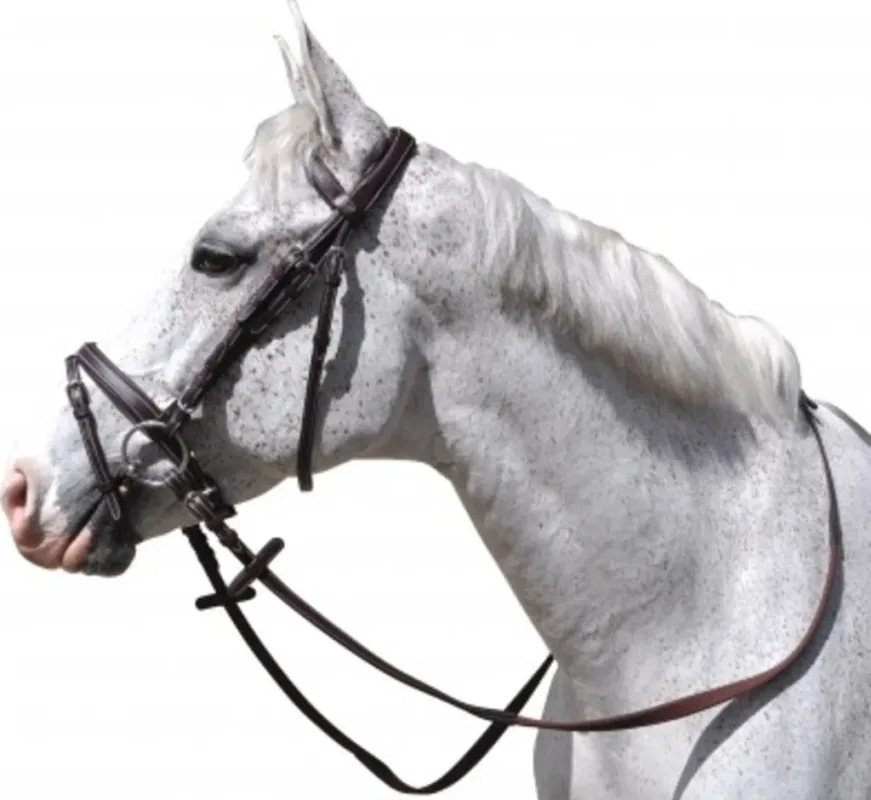 Vente Directe Bridon Gteborg Combin Flags & Cup - Cheval - Marron