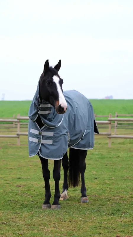 Couvre-cou Equithme Tyrex 600D recycl - Poney - Vert Achetez Aujourdhui