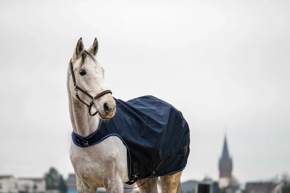 Chemise marcheur Equithme Classic 1200D - 125 cm - Bleu marine Usine Directe