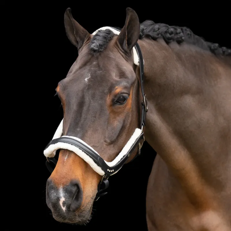 Licol Imperial Riding Luxury - Cob - Noir Prix Promo