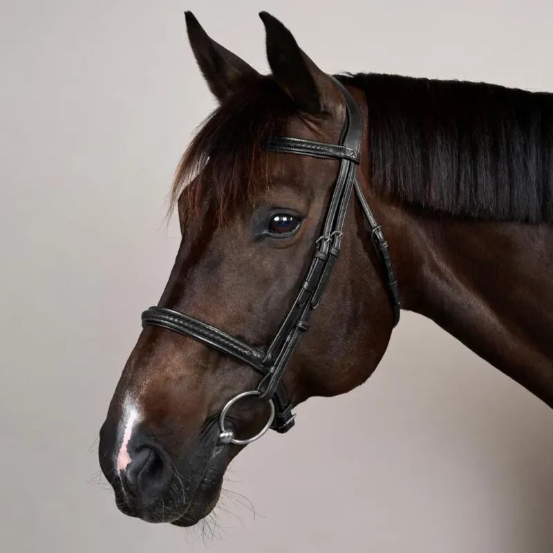 Bridon Muserolle Tresse sans Sous-barbe Dy'on New English - Cob - Noir Livraison Express