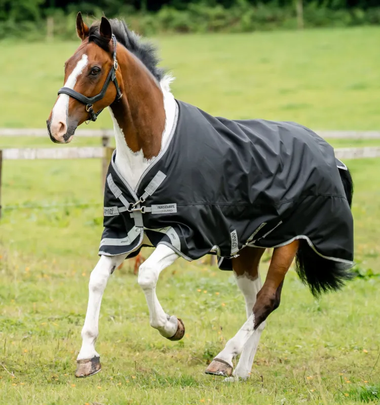 Dernier Modle Couverture Horseware Amigo 1200D XL Turnout 50g - 165 cm - Noir / gris titane / argent
