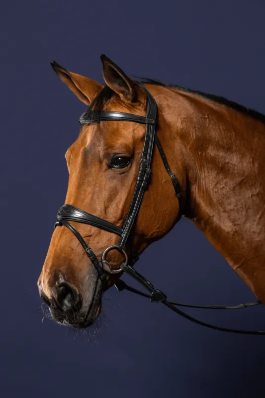 Bridon Muserolle Combine Anatomique Dy'on New English Collection - Cob - Noir Petit Prix