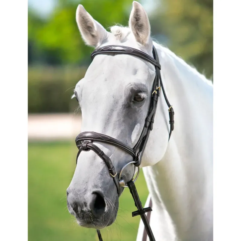 Offre Spciale Bridon ttire Tattini frontal licol brods - Cheval - Marron