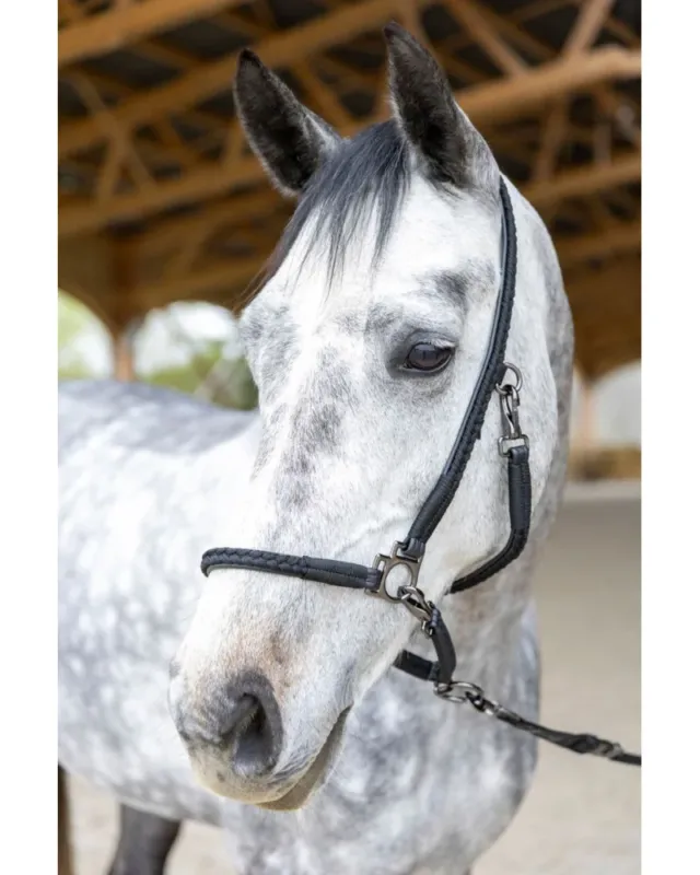 Licol de grooming ProConfort Dialou - Poney - Noir Certifi
