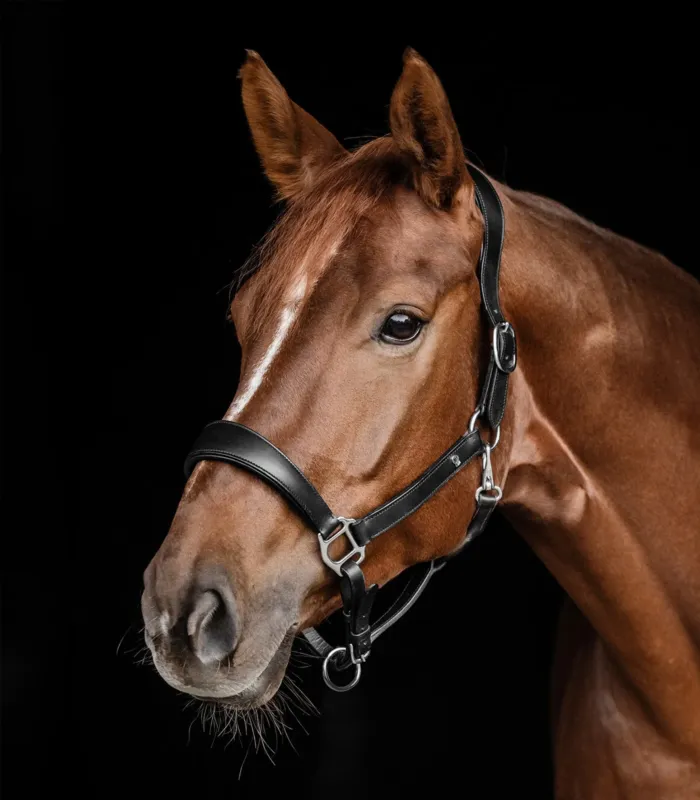 Licol en cuir Waldhausen anatomic S-Line - Cob - Noir Offre Spciale