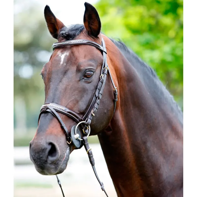 Promotion Saisonnire Bridon Tattini avec strass - Cheval - Marron
