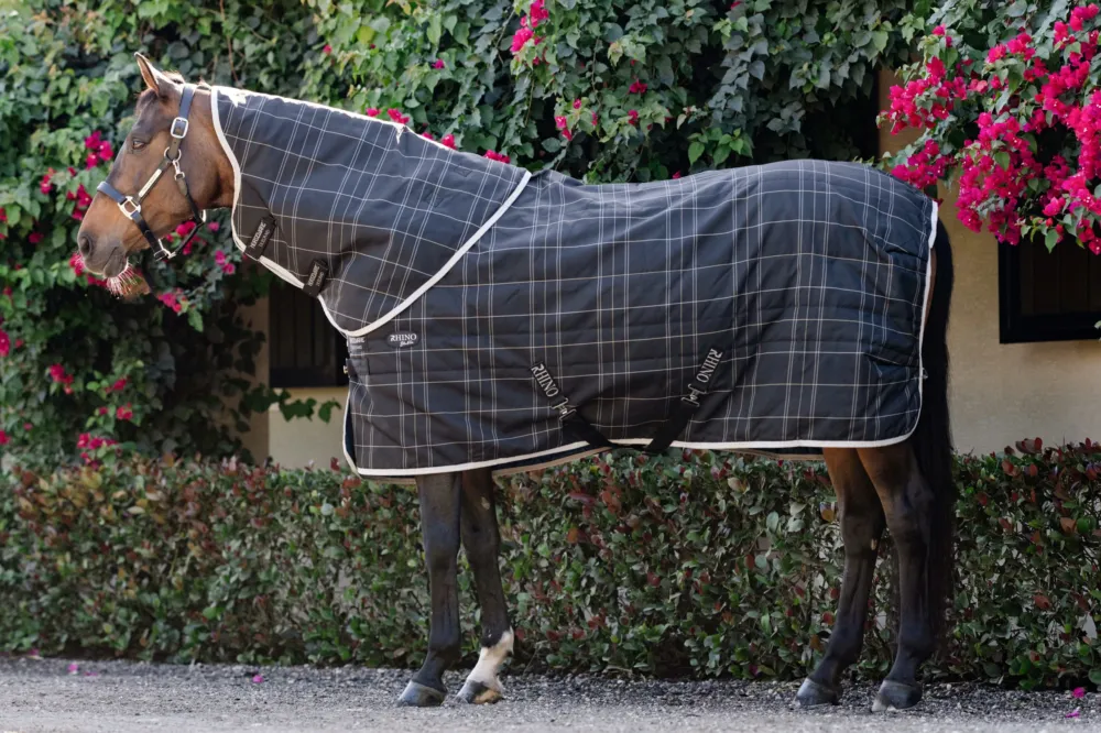 Couverture d'curie Horseware Rhino Poney 250g VL - 80 cm - Noir / carreaux blanc gris Nouvel Arrivage