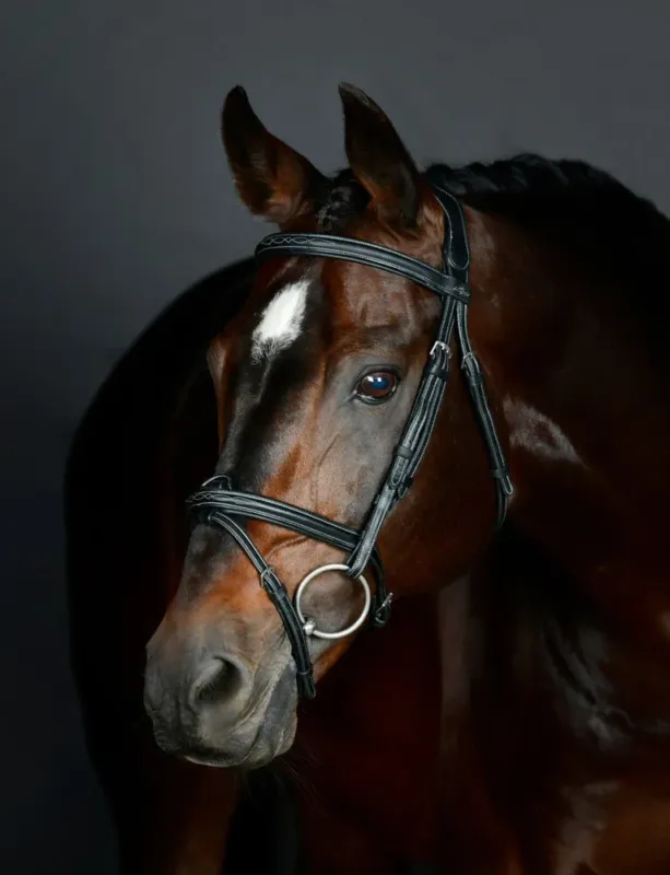 Bridon hanovrien Collegiate rembourr ComFiTec Opulux Fancy Stitch - Cheval - Noir Authentique