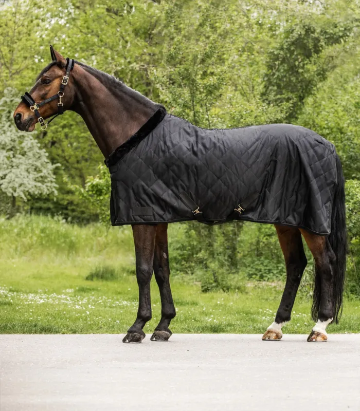 Couverture de transport Waldhausen Exclusive 50 g - 125 cm - Noir Top Vente