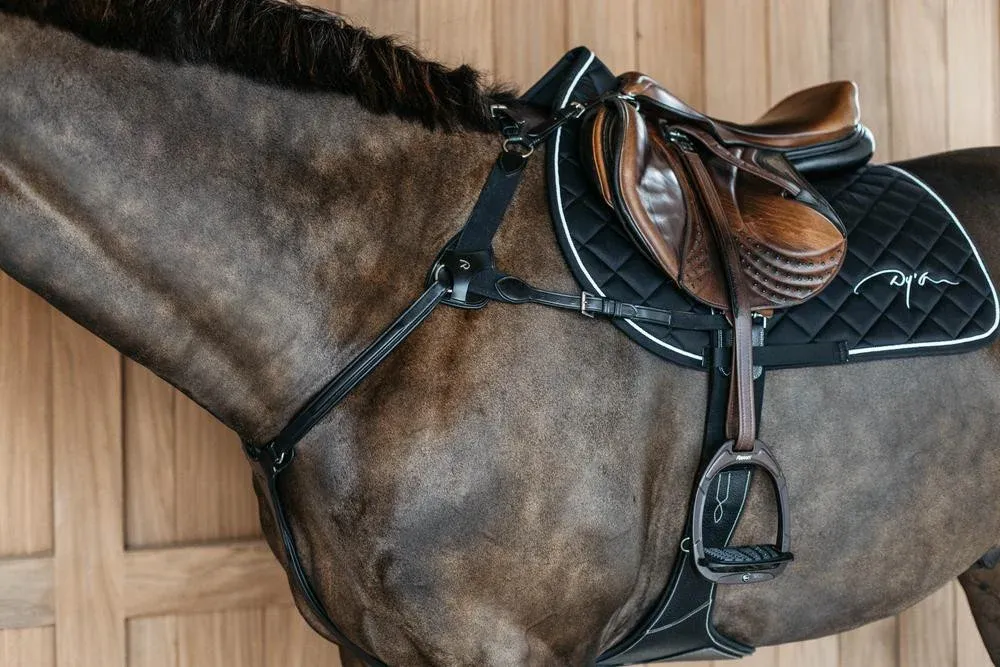 Collier de chasse 5 points avec lastiques New English Collection Dy'on - Poney - Noir Marque