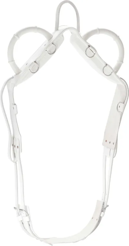 Acheter Direct Surfaix de voltige Norton - Poney