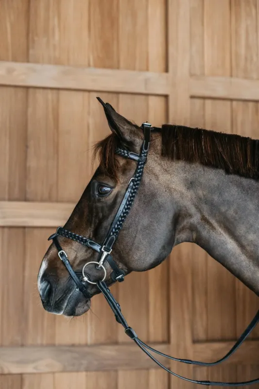 Plaited Training Bridle Working By Dy'on - Cheval - Noir Petit Prix