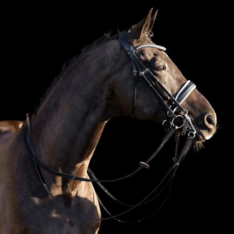 Top Vente Bride HV Polo Legacy deluxe - Cheval - Noir blanc