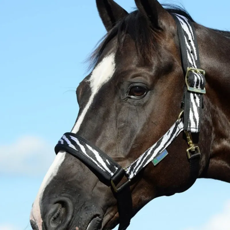 Licol Bucas comfort Zebra - Cob - Zebra / noir Marque