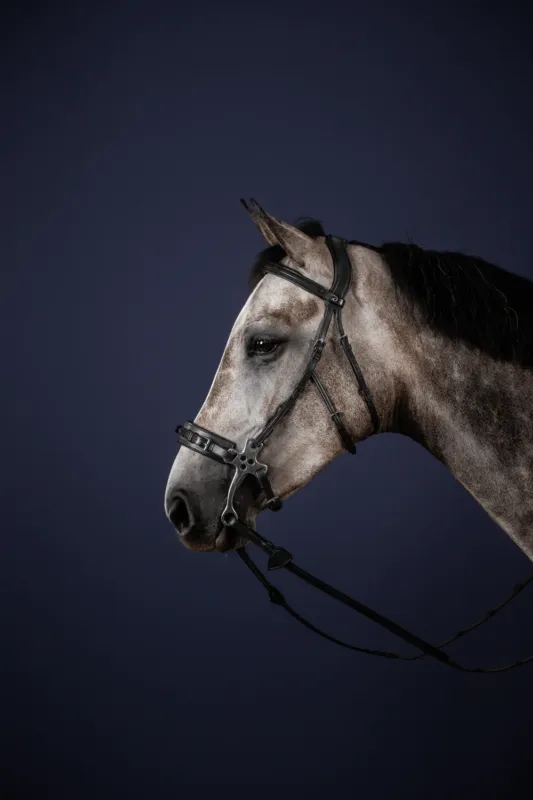 Nouvel Arrivage Bridon Hackamore New English Collection by Dy'on - Grand cheval - Noir
