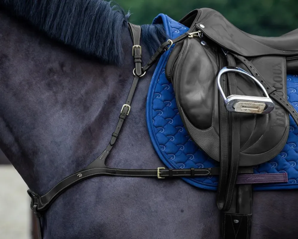 Livraison Express Collier De Chasse Anatomique Dy'on D Collection - Cheval - Noir
