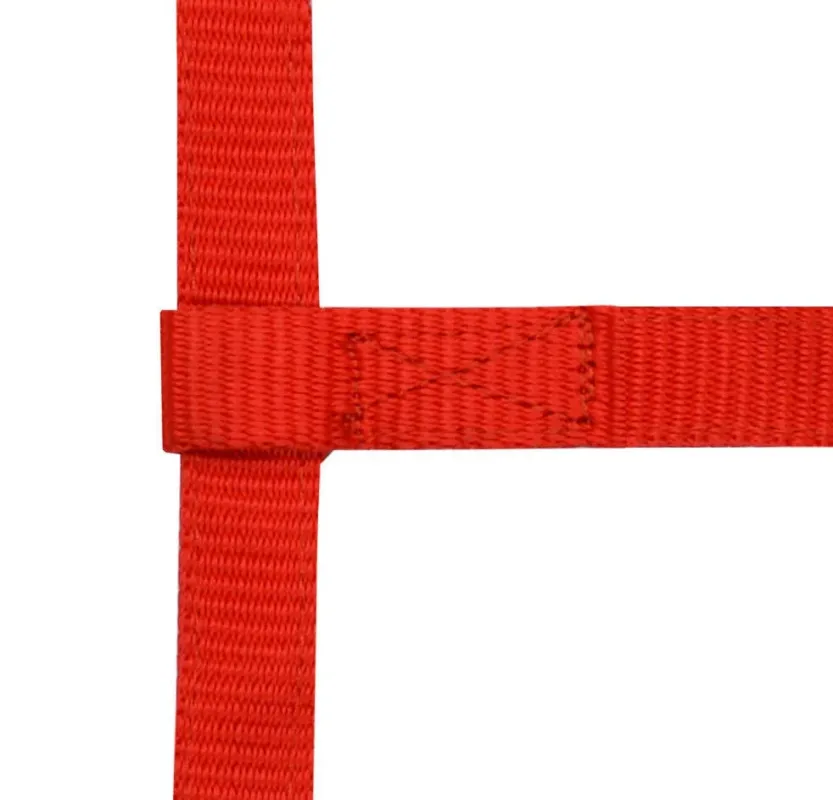 Certifi Licol rglable mini - Rouge