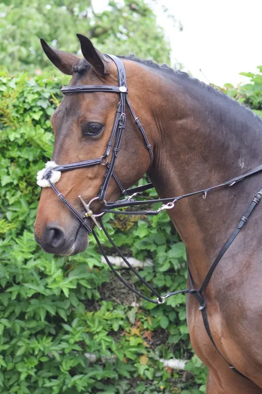Enrnement Jump'In Howlett - Cheval - Noir Pas Cher