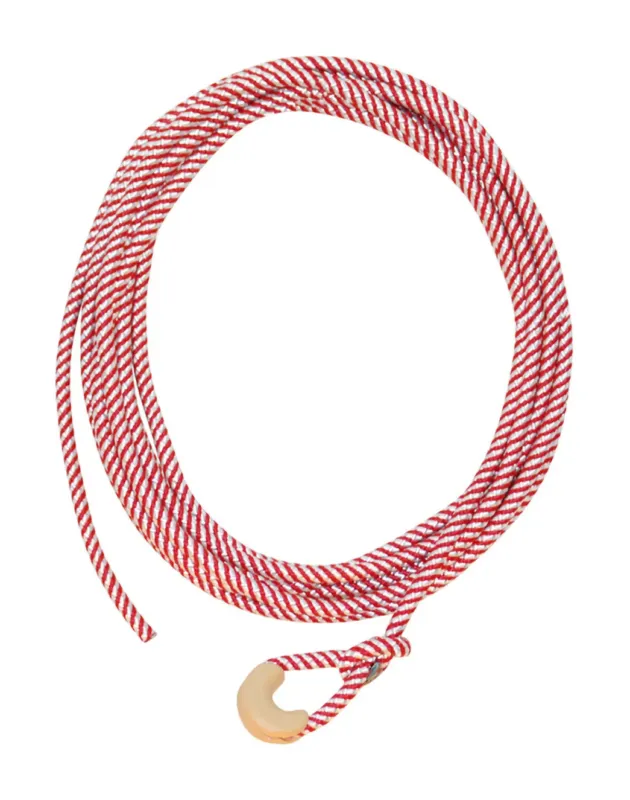Meilleur Prix Lasso enfant Pool's