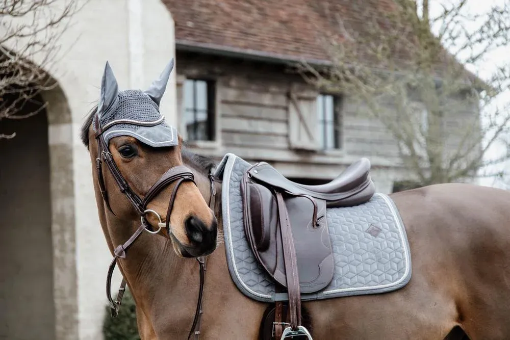 Nouvel Arrivage Tapis de selle Basic Velvet dressage Kentucky - Cob - Gris