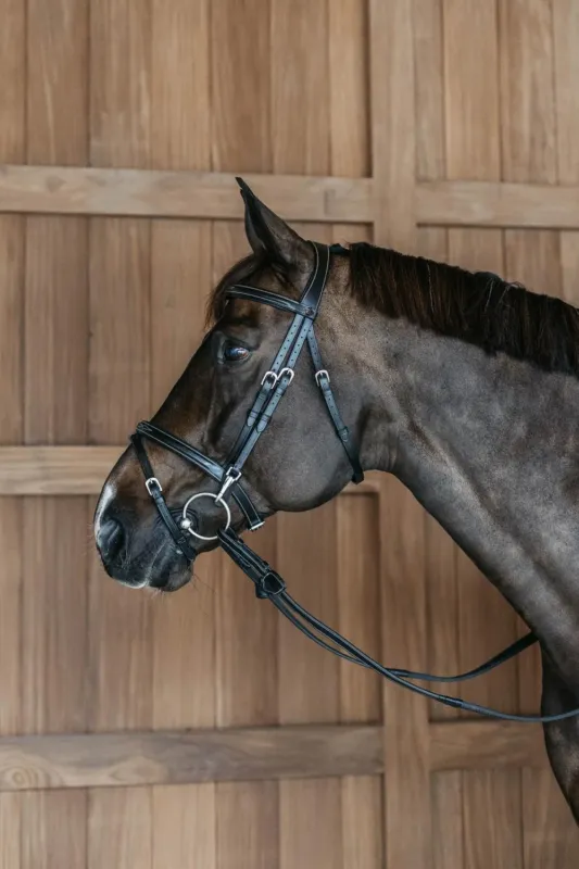 Bridon Muserolle Combine avec Montants Mousquetons Working by Dy'on - Poney - Noir Paiement Scuris