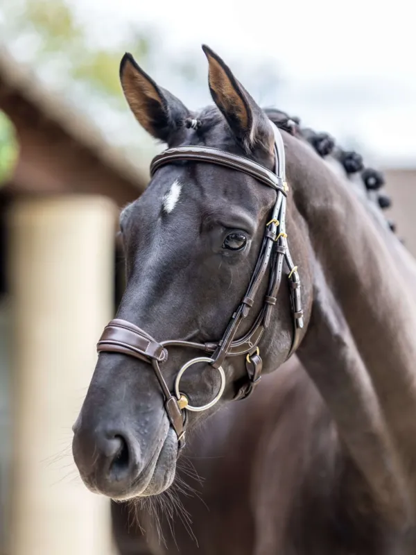Authentique Bridon LeMieux Kudos muserolle anatomique rglable - Poney - Havane / laiton