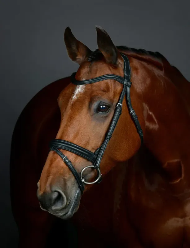 Affaire Saisir Bridon Flash hanovrien Collegiate ComFiTec Opulux Plain Padded - Poney - Noir