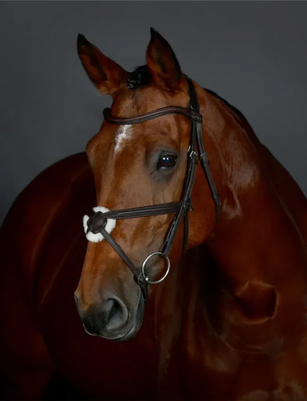 Vente Directe Bridon muserolle croise Collegiate ComFiTec Opulux rembourr - Cob - Marron fonc