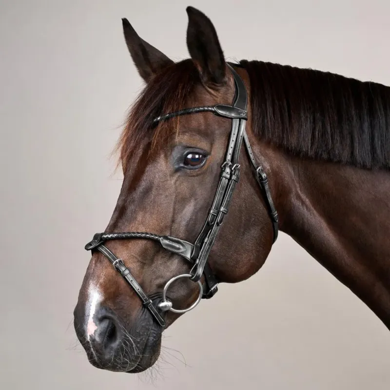 Bridon Muserolle Combine Dy'on Tress Rond - Grand cheval - Noir Commander Maintenant