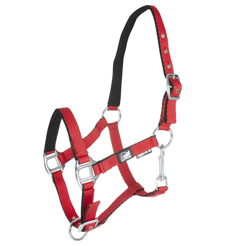 Achat Immdiat Licol pour poulain en cuir rembourr toucher doux double rglage Supreme - Taille 000 - Rouge