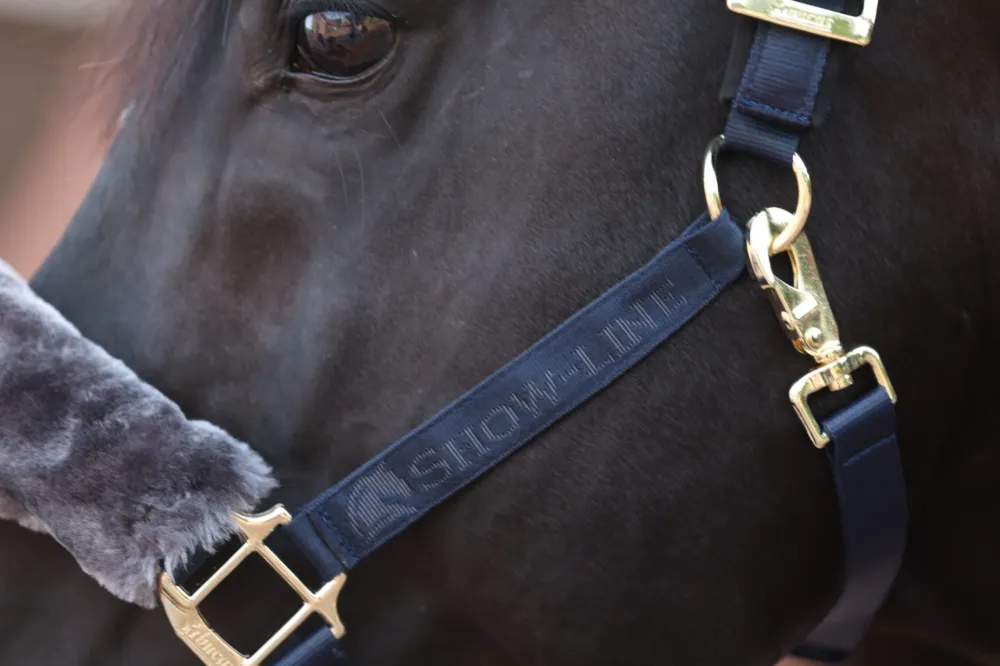 Meilleur Prix Licol Bucas Show-Line - Grand cheval - Marine / gris