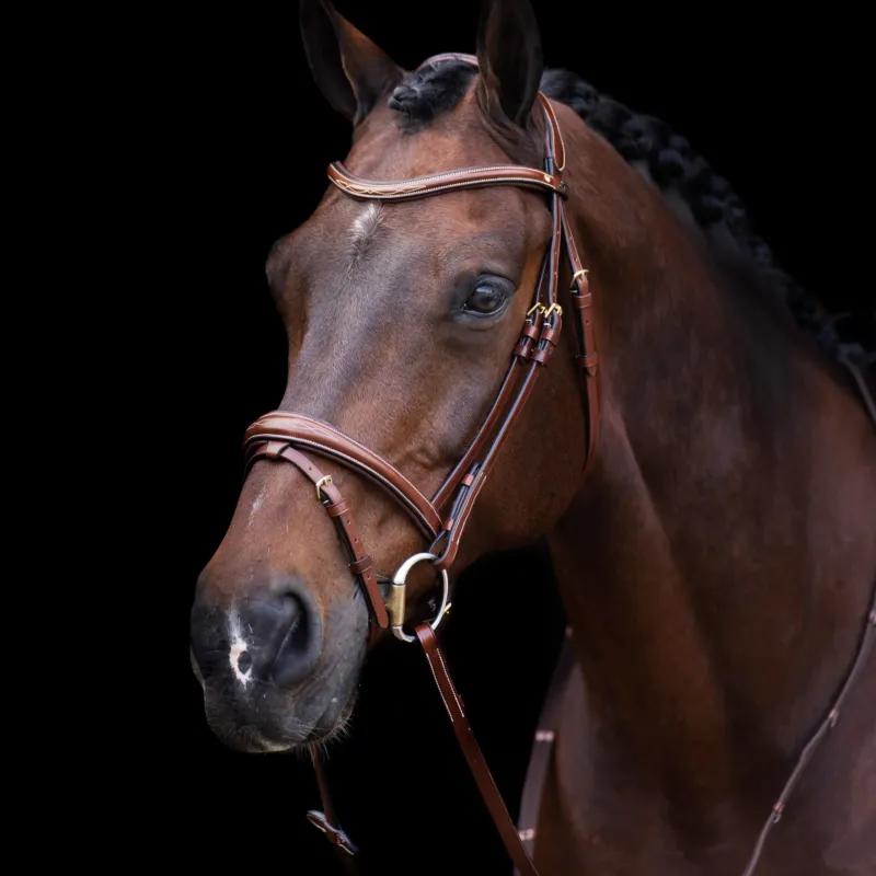 Bridon HV Polo Legacy - Cheval - Marron Offre Spciale