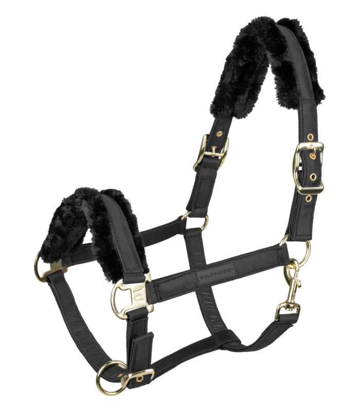 Affaire Saisir Licol Waldhausen Exclusive - Cheval - Noir / noir