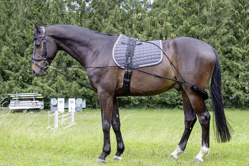 Systme de Longe HKM - Cob / cheval - Noir Nouveaut