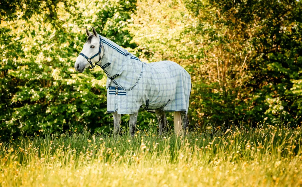 Paiement Scuris Licol et longe Horseware Newmarket - Petit poney - Marine witney