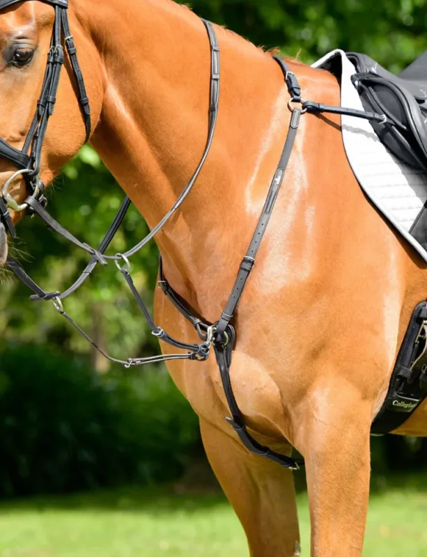 Retour Gratuit Collier de chasse Collegiate rembourr 3 points ComFiTec Opulux fixation de course - Grand cheval - Noir