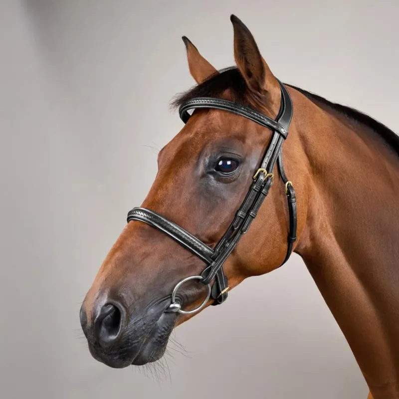 Offre Exclusive Bridon Muserolle Tresse sans Sous-barbe Dy'on - Grand cheval - Noir