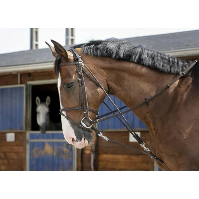 Gogue Cuir Poulies Shetland, Poney, Cheval, RIDING WORLD SHETLAND HAVANE Prix Promo