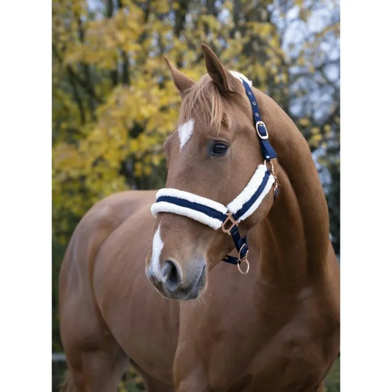 NORTON – Licol doubl mouton synthtique CONFORT SHETLAND MARINE Livraison Express