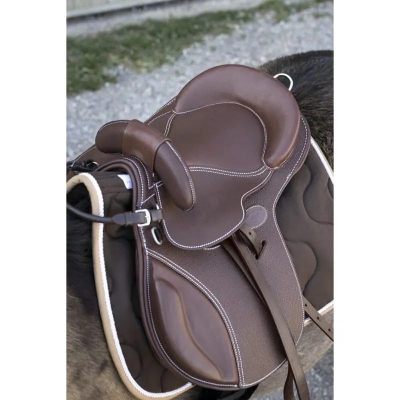 GUY CANTIN - Selle bardette Evolution ducative en cuir 14.5' (Sige 41.5 cm) CUIR NOIR Dernier Modle