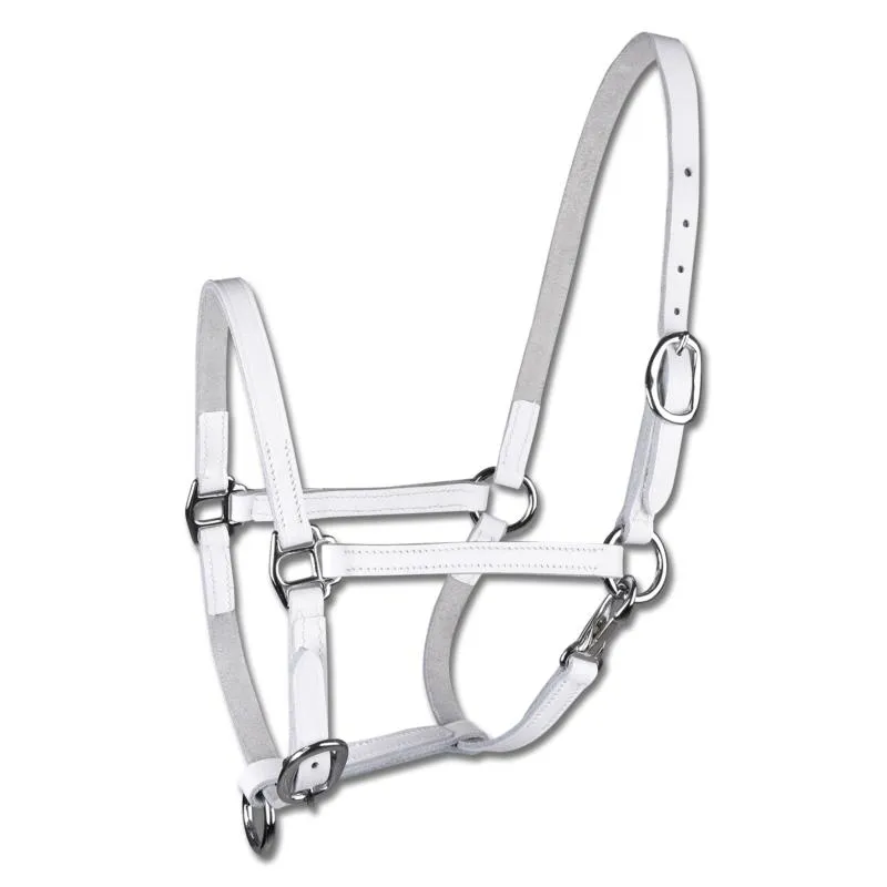 Acheter En Ligne WALDHAUSEN – Licol de prsentation poulain en cuir BLANC POULAIN MINI SHETLAND