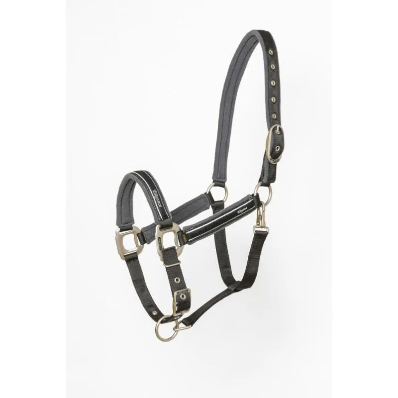 Quantit Limite LAMI-CELL - Licol Nylon Doubl Polaire ELEGANCE PONEY Marine/champagne PONEY (DERNIER) PONEY Dernier !