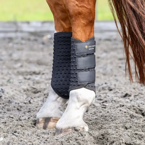 Gutre dressage Equilibrium Nouvelle Version - Noir - Intgrales - M Promotion Saisonnire